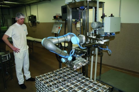 two UR5 robots in a packaging and palletizing application.jpg