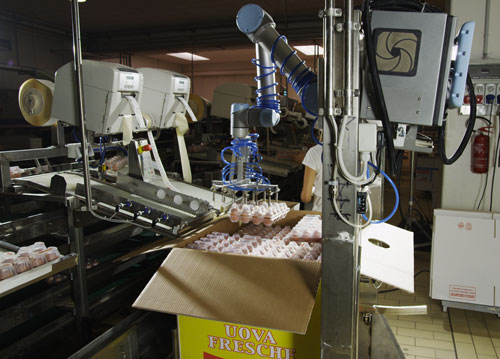 collaborative-robots-are-ideal-for-hygienic-food-processing-environments.jpg